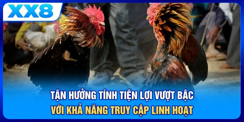 Tận hưởng tính tiện lợi vượt bậc với khả năng truy cập linh hoạt